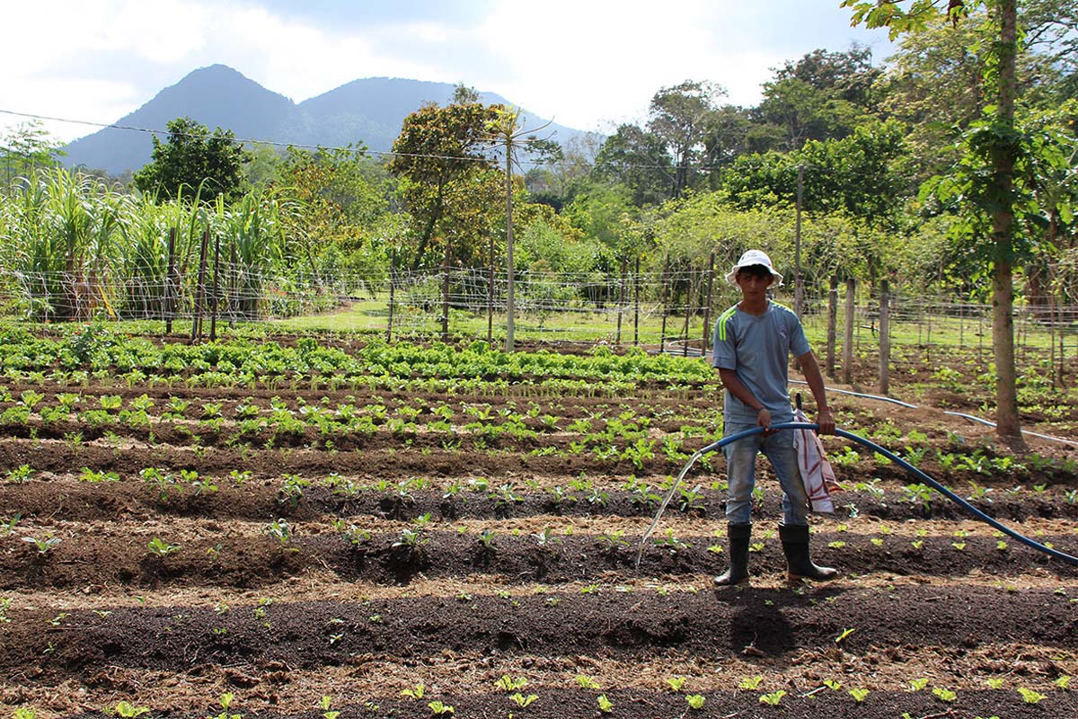 Farmer at Don Juan Eco Farm, Costa Rica | Snappy Travels