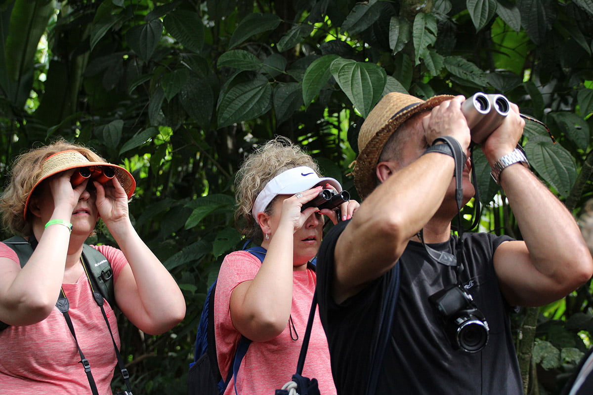 All eyes on the trees, La Selva Biological Station, Sarapiqui | Snappy Travels