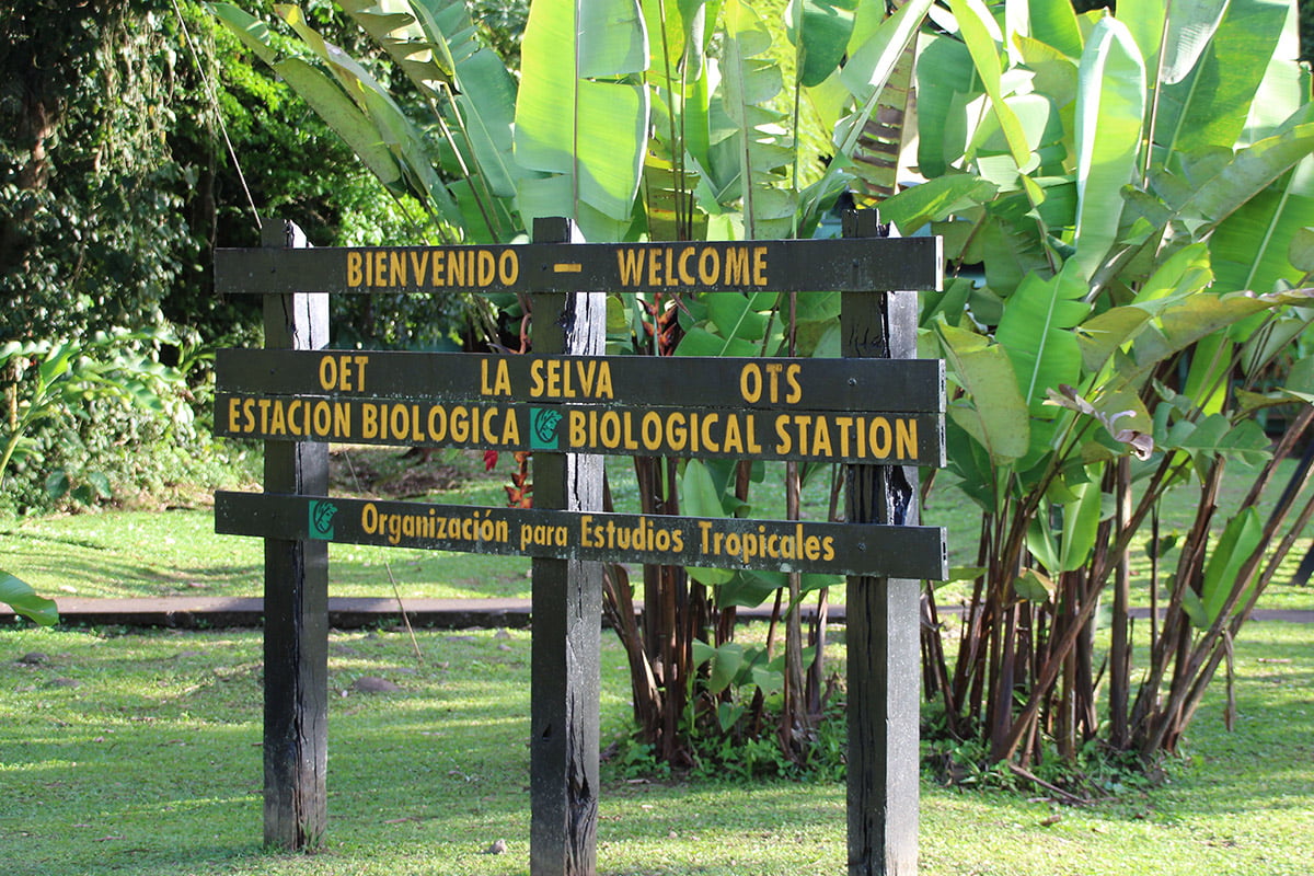 La Selva Biological Station, Sarapiqui | Snappy Travels